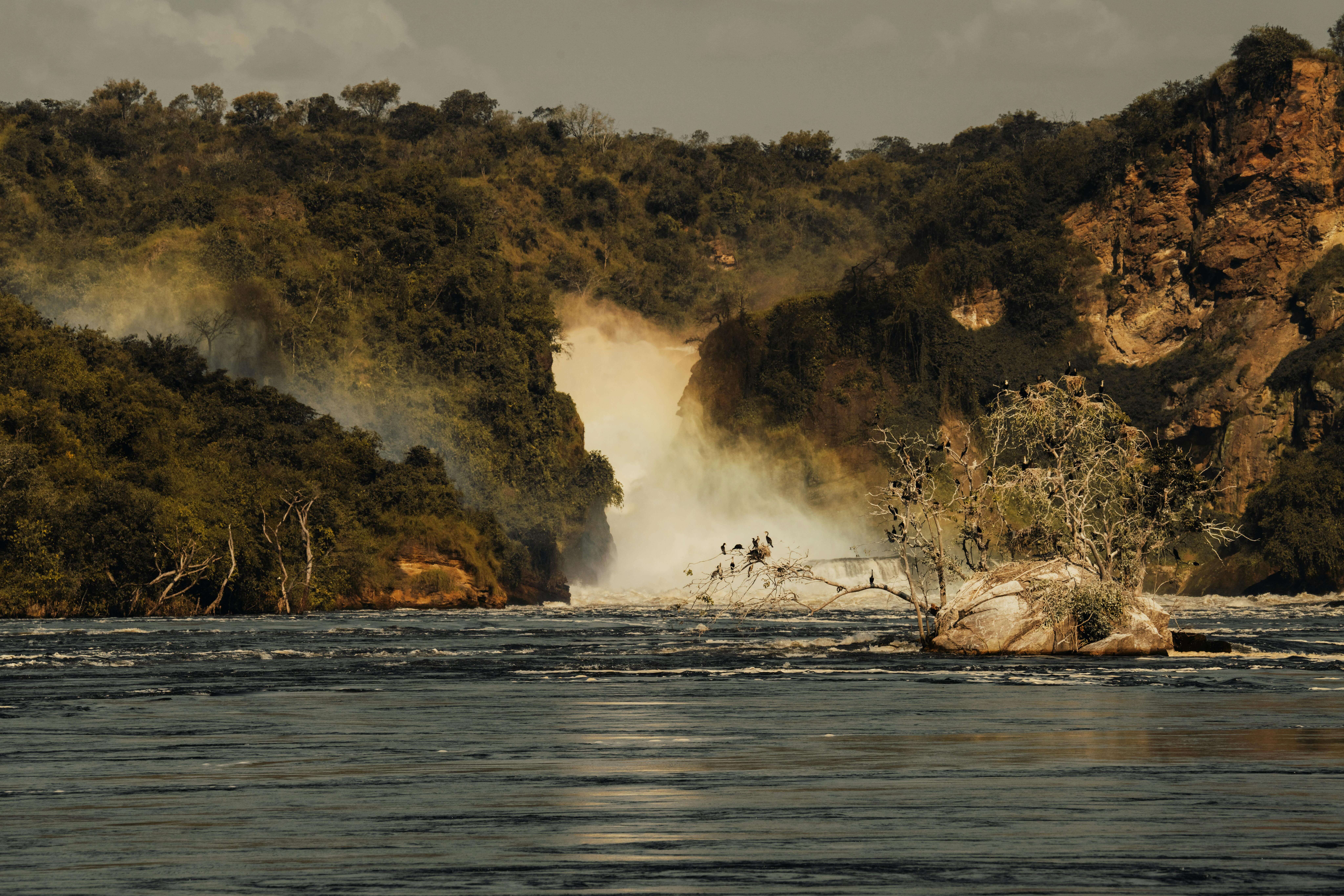 Murchison Falls Safari